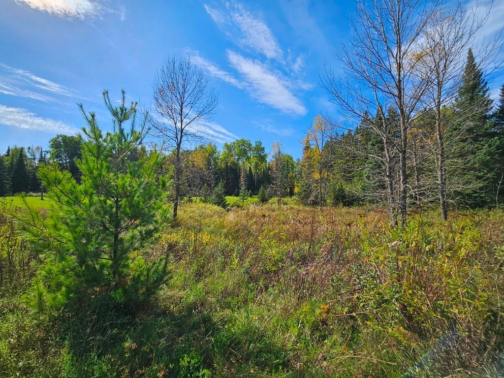 land for sale at Lt 3 Blk 1 County Rd 238 in Deer River, MN (photo 12 of 18)