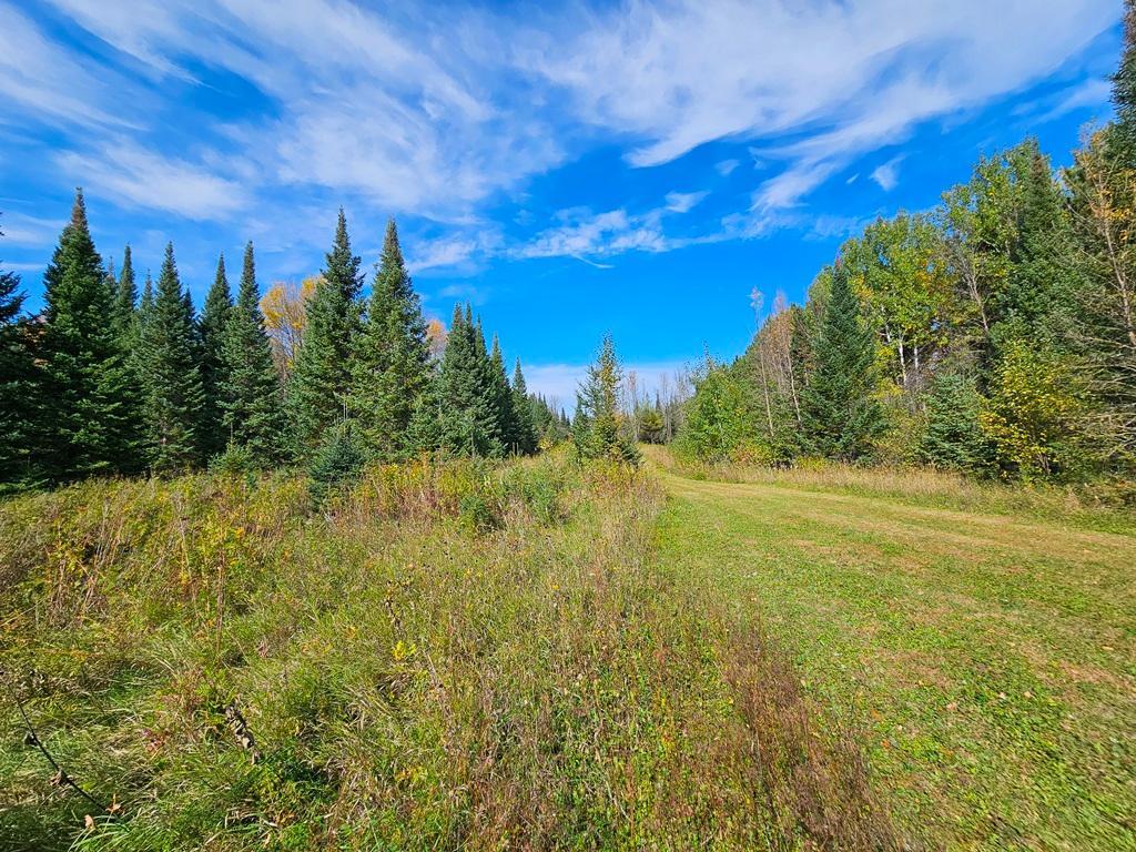 land for sale at Lt 3 Blk 1 County Rd 238 in Deer River, MN (photo 13 of 18)