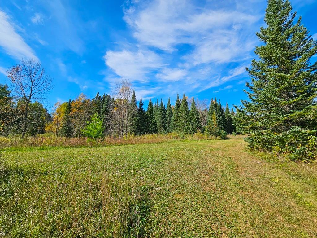 land for sale at Lt 3 Blk 1 County Rd 238 in Deer River, MN (photo 14 of 18)