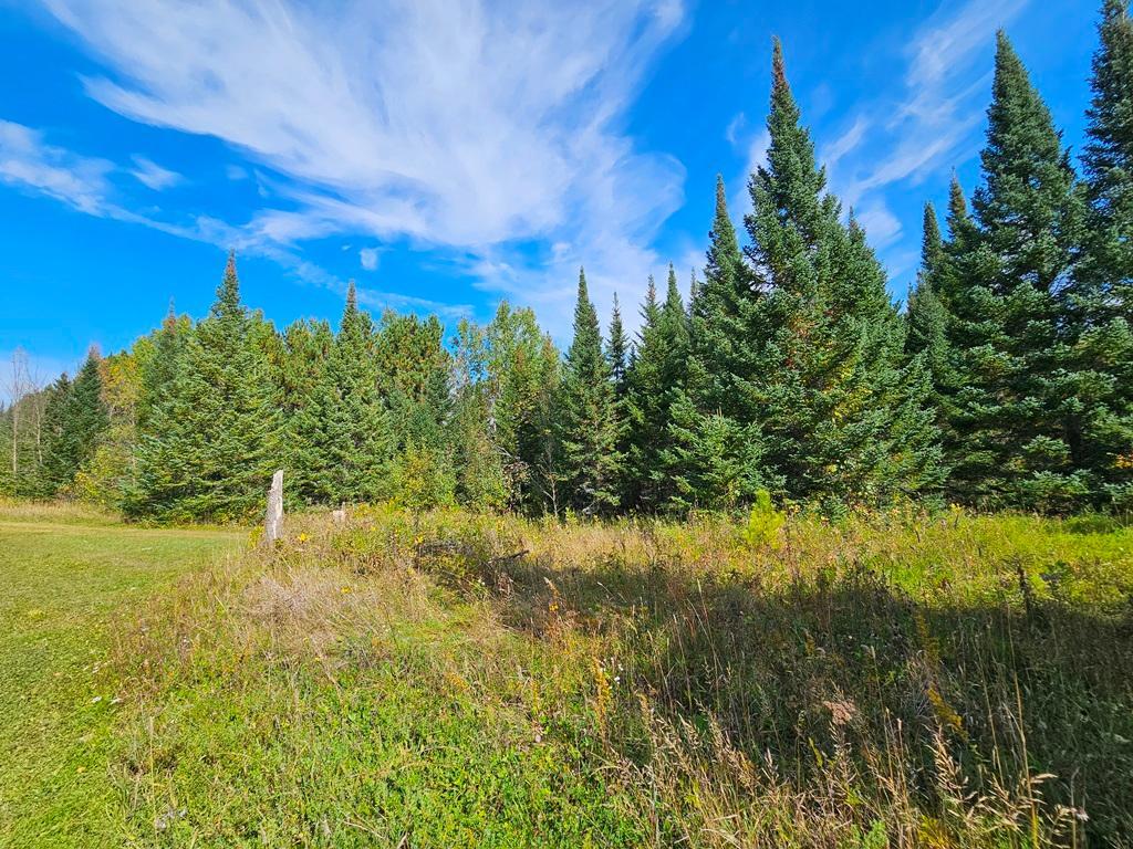 land for sale at Lt 3 Blk 1 County Rd 238 in Deer River, MN (photo 16 of 18)