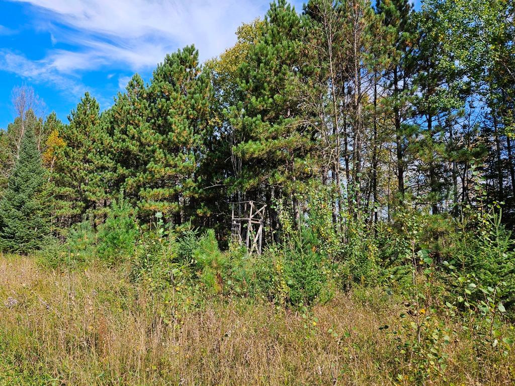 land for sale at Lt 3 Blk 1 County Rd 238 in Deer River, MN (photo 17 of 18)