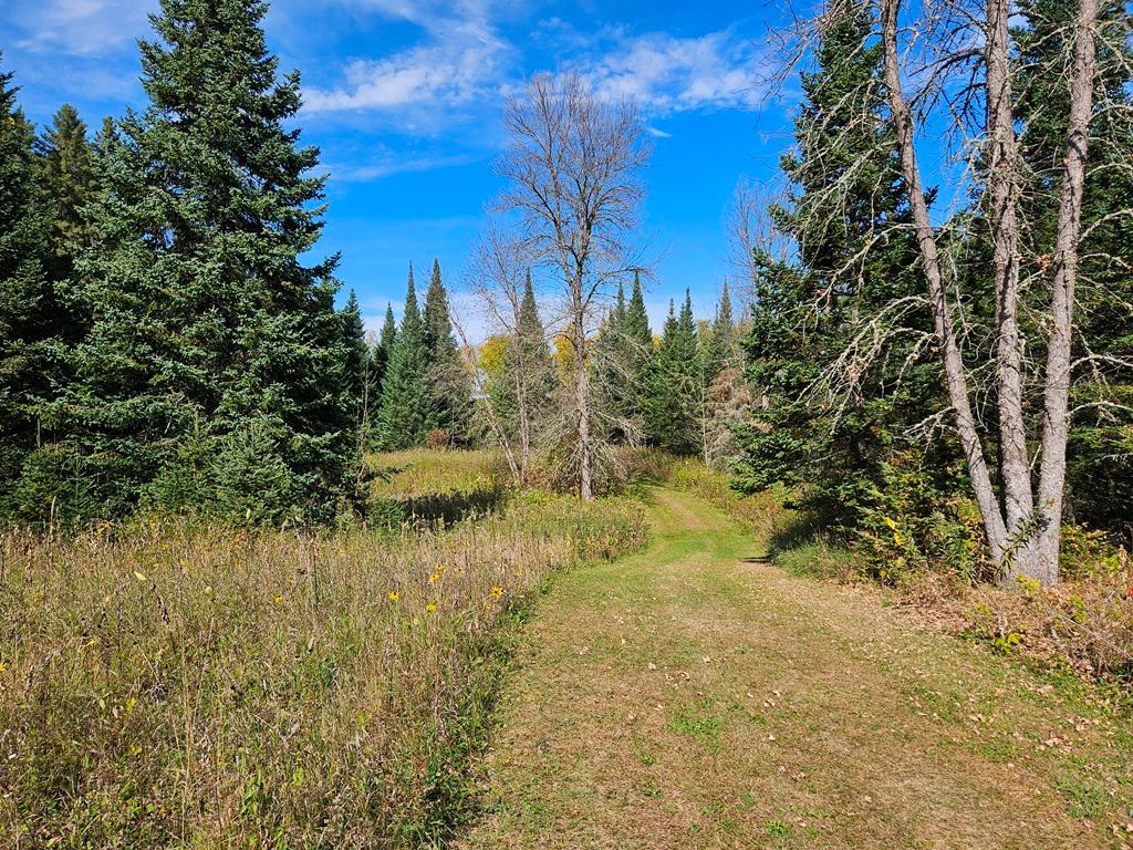 land for sale at Lt 3 Blk 1 County Rd 238 in Deer River, MN (photo 18 of 18)