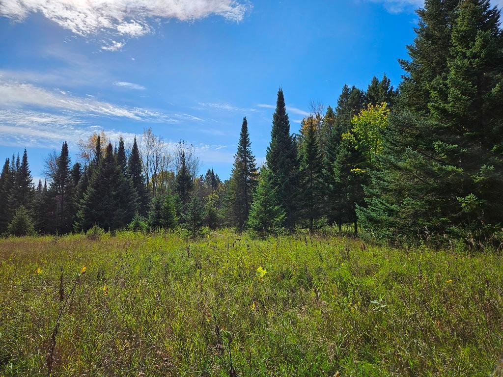 land for sale at Lt 3 Blk 1 County Rd 238 in Deer River, MN (photo 3 of 18)