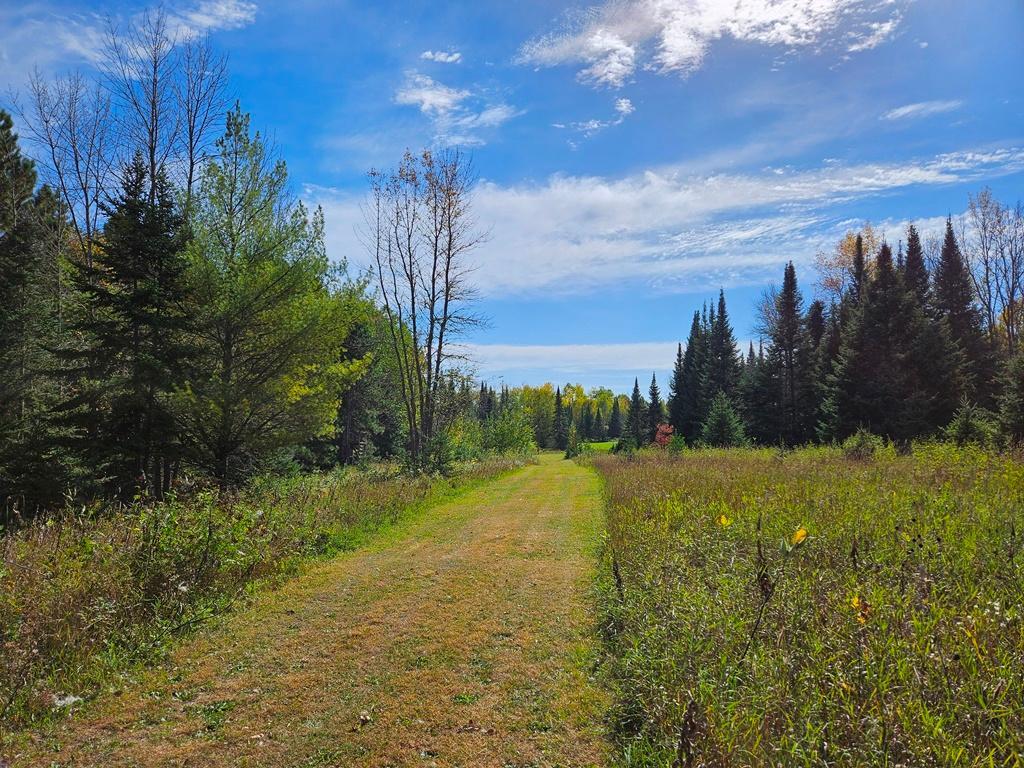 land for sale at Lt 3 Blk 1 County Rd 238 in Deer River, MN (photo 4 of 18)