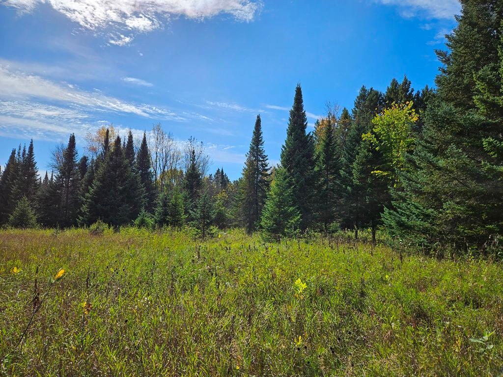 land for sale at Lt 3 Blk 1 County Rd 238 in Deer River, MN (photo 5 of 18)