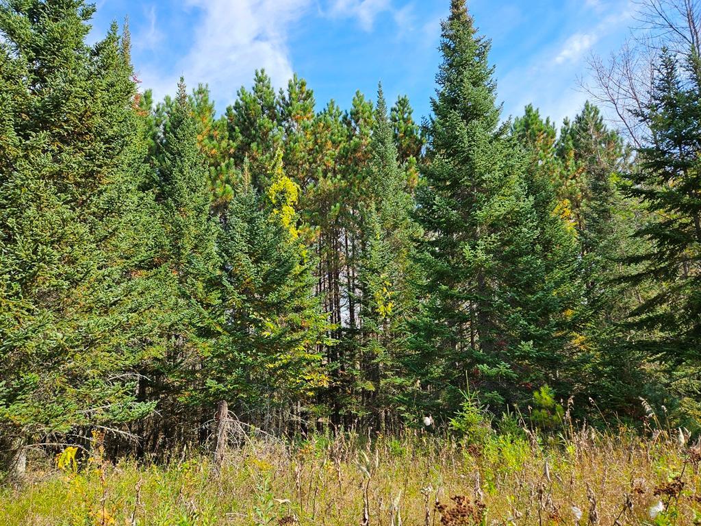 land for sale at Lt 3 Blk 1 County Rd 238 in Deer River, MN (photo 6 of 18)