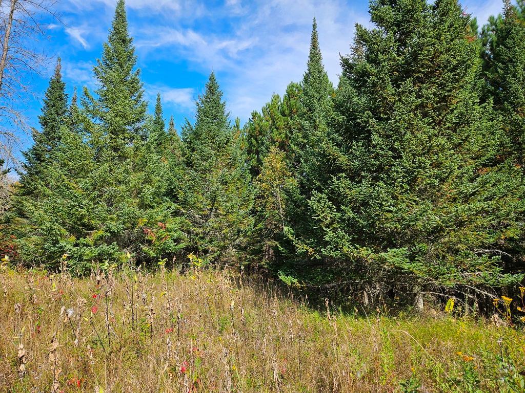 land for sale at Lt 3 Blk 1 County Rd 238 in Deer River, MN (photo 7 of 18)