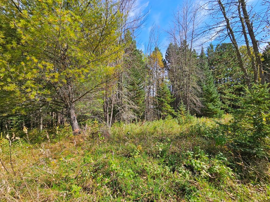 land for sale at Lt 3 Blk 1 County Rd 238 in Deer River, MN (photo 8 of 18)