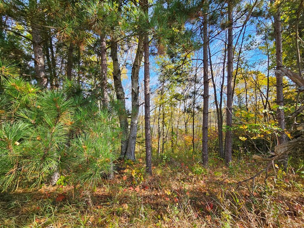 land for sale at Lt 3 Blk 1 County Rd 238 in Deer River, MN (photo 9 of 18)