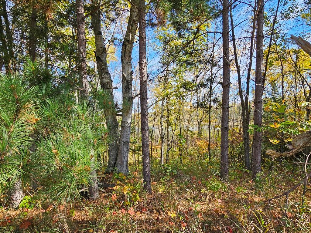 land for sale at Lt 3 Blk 1 County Rd 238 in Deer River, MN (photo 10 of 18)