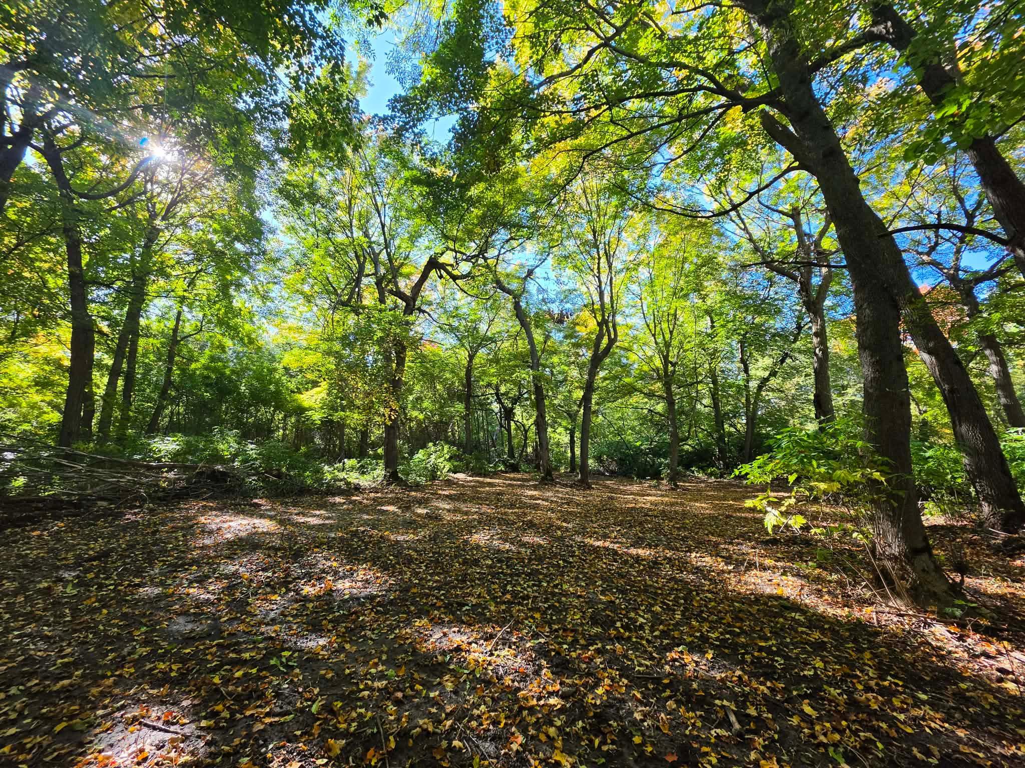 land for sale at TBD Ottertail Point Dr NW in Cass Lake, MN (photo 12 of 17)
