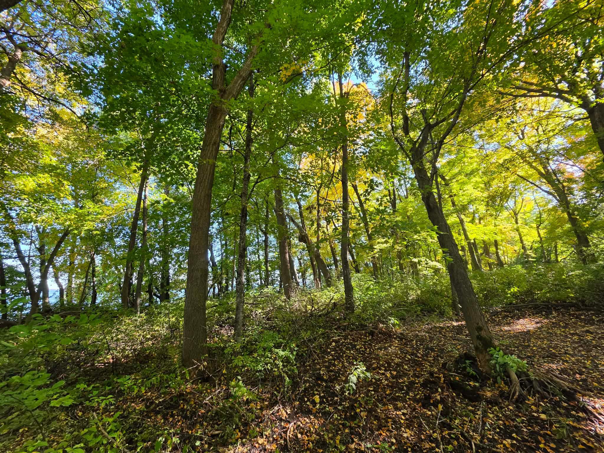 land for sale at TBD Ottertail Point Dr NW in Cass Lake, MN (photo 13 of 17)