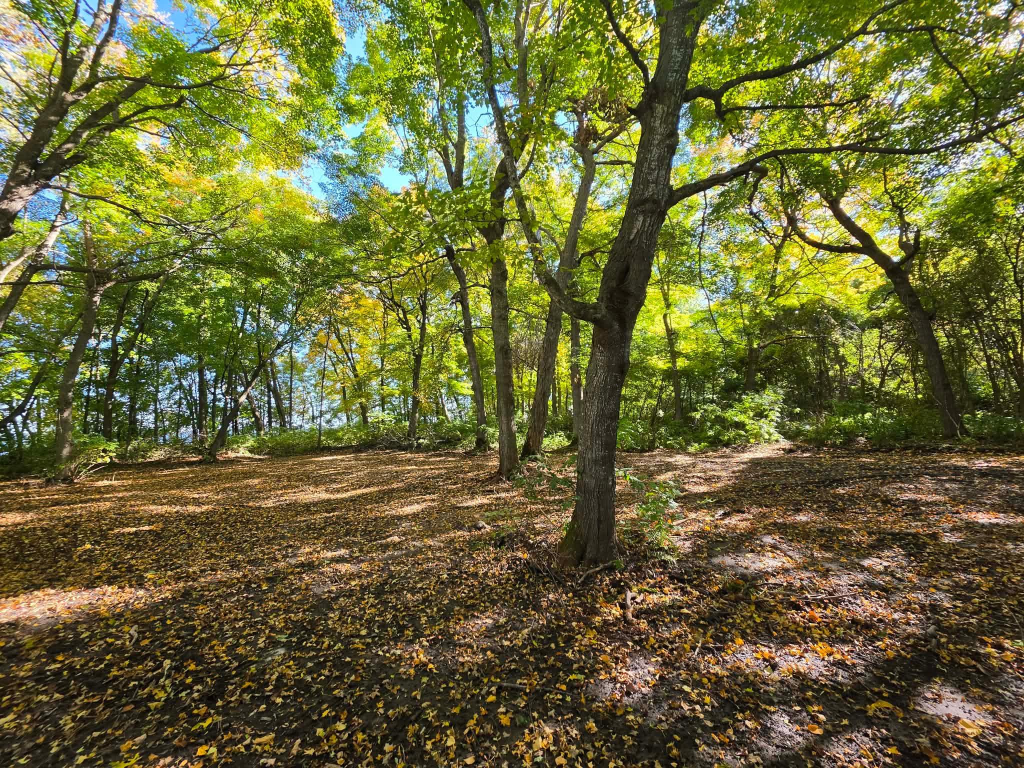 land for sale at TBD Ottertail Point Dr NW in Cass Lake, MN (photo 3 of 17)