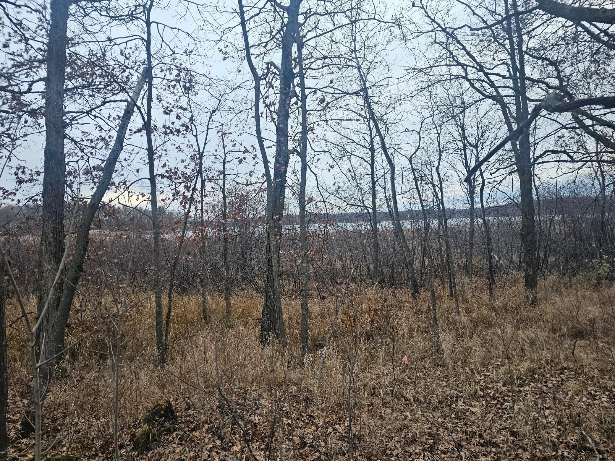 land for sale at TBD County Road 30 in Aitkin, MN (photo 2 of 11)