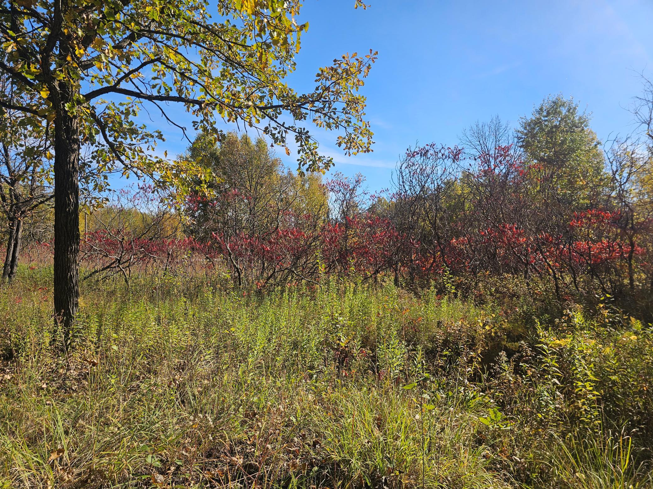 land for sale at TBD County Road 30 in Aitkin, MN (photo 11 of 11)