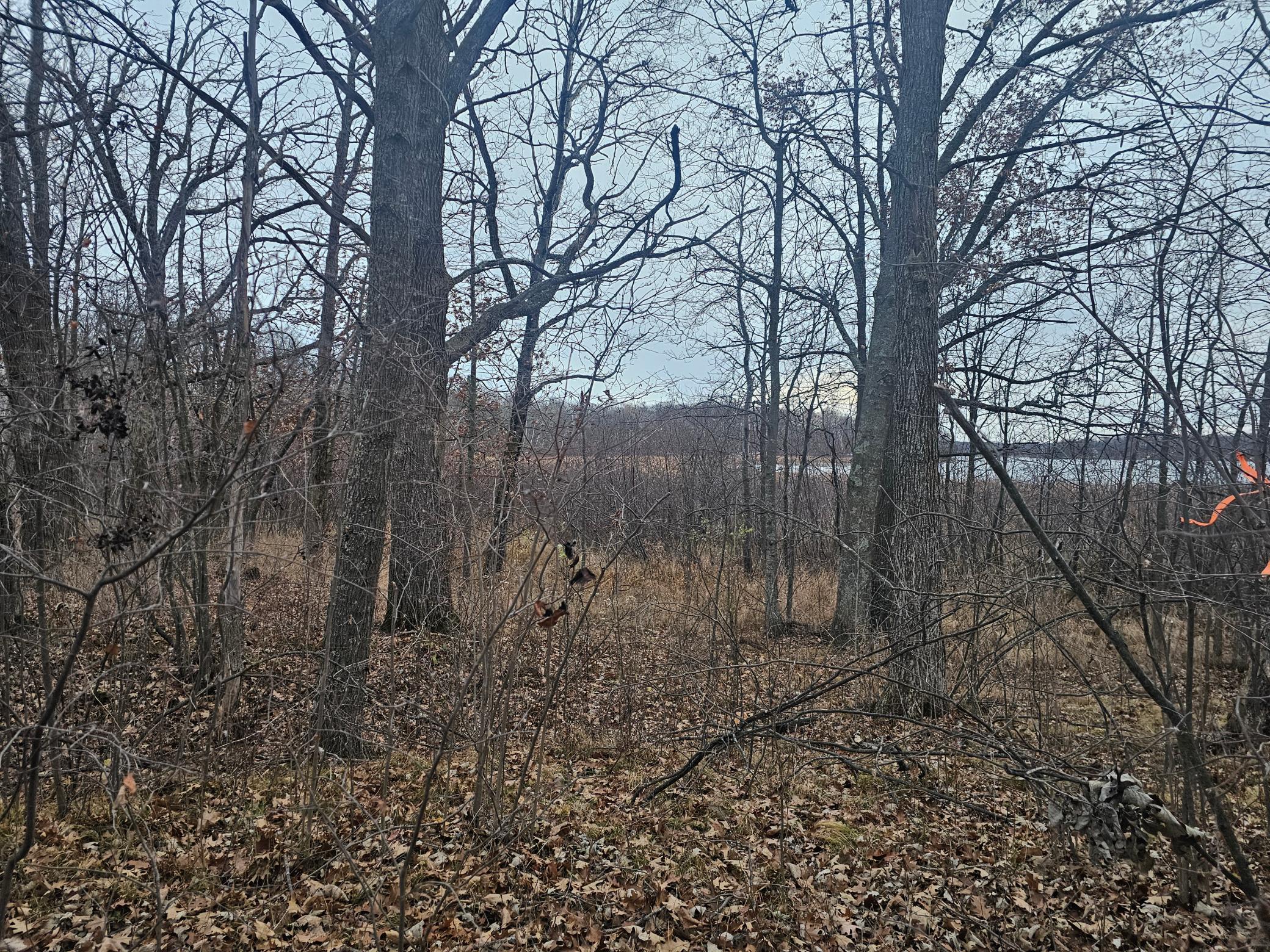 land for sale at TBD County Road 30 in Aitkin, MN (photo 3 of 11)