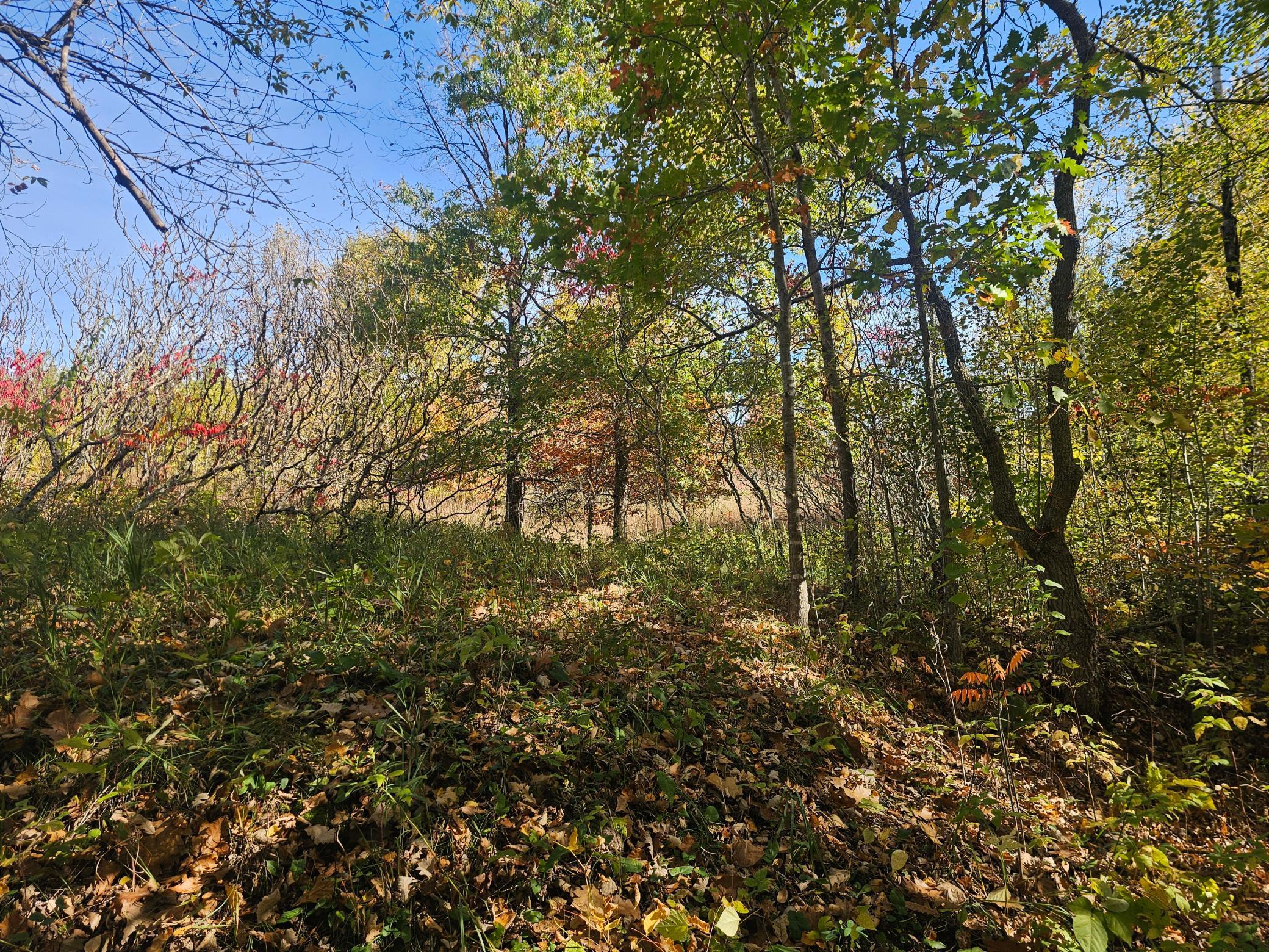 land for sale at TBD County Road 30 in Aitkin, MN (photo 8 of 11)