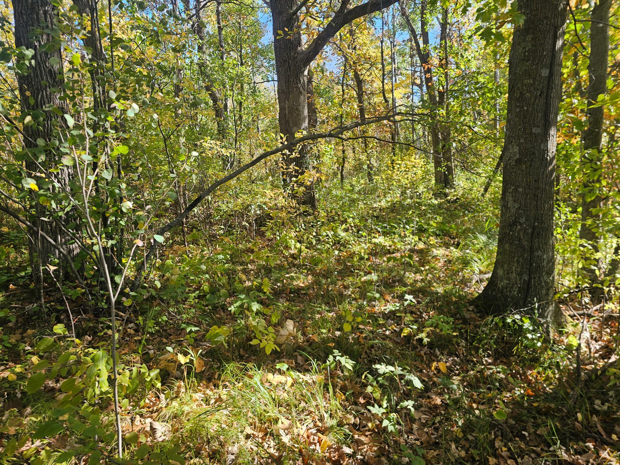 land for sale at TBD County Road 30 in Aitkin, MN (photo 9 of 11)