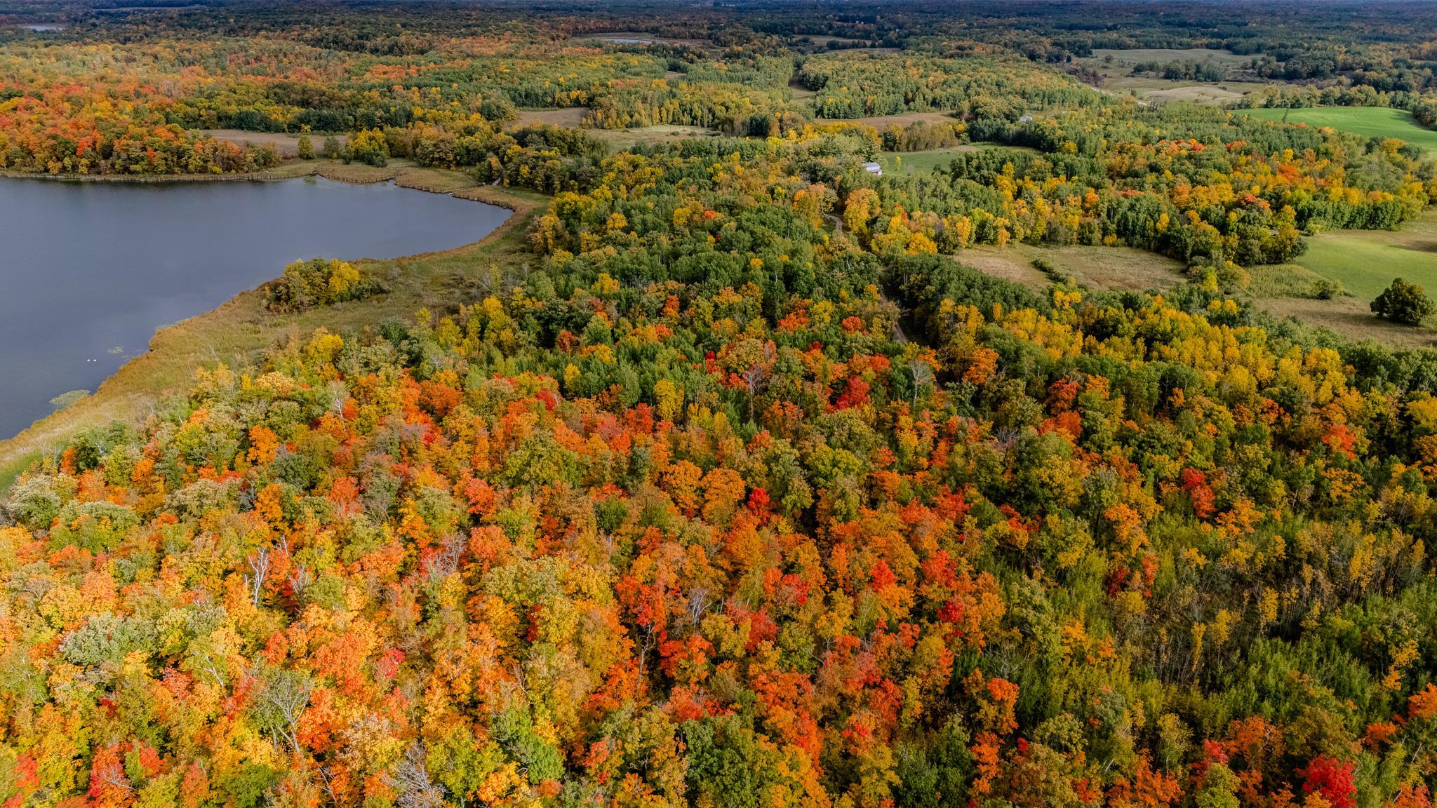 land for sale at 1272 Island Lake Resort Drive in Island Lake Twp, MN (photo 6 of 11)