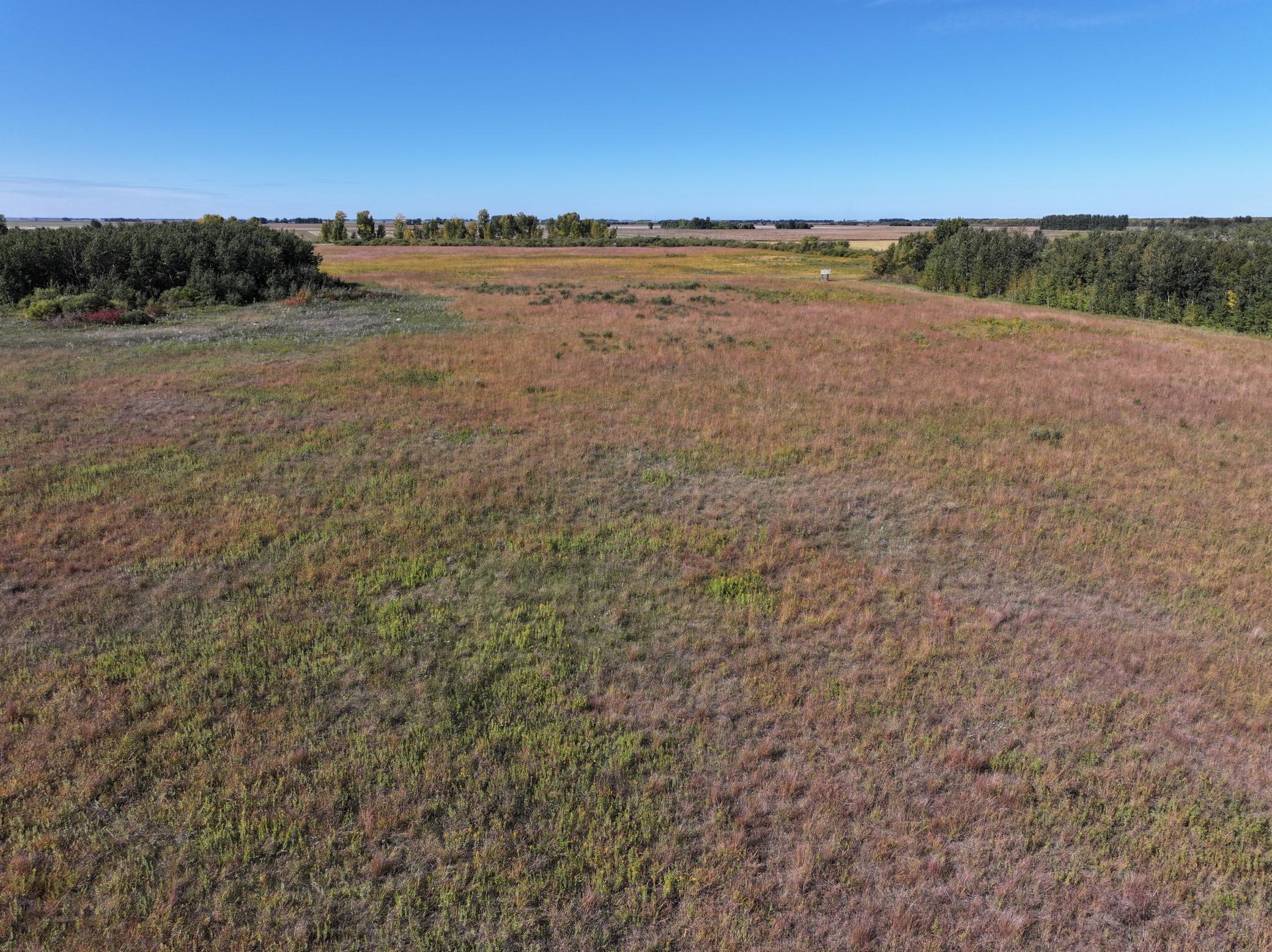 land for sale at 44255 270th Avenue NW in Karlstad, MN (photo 5 of 8)