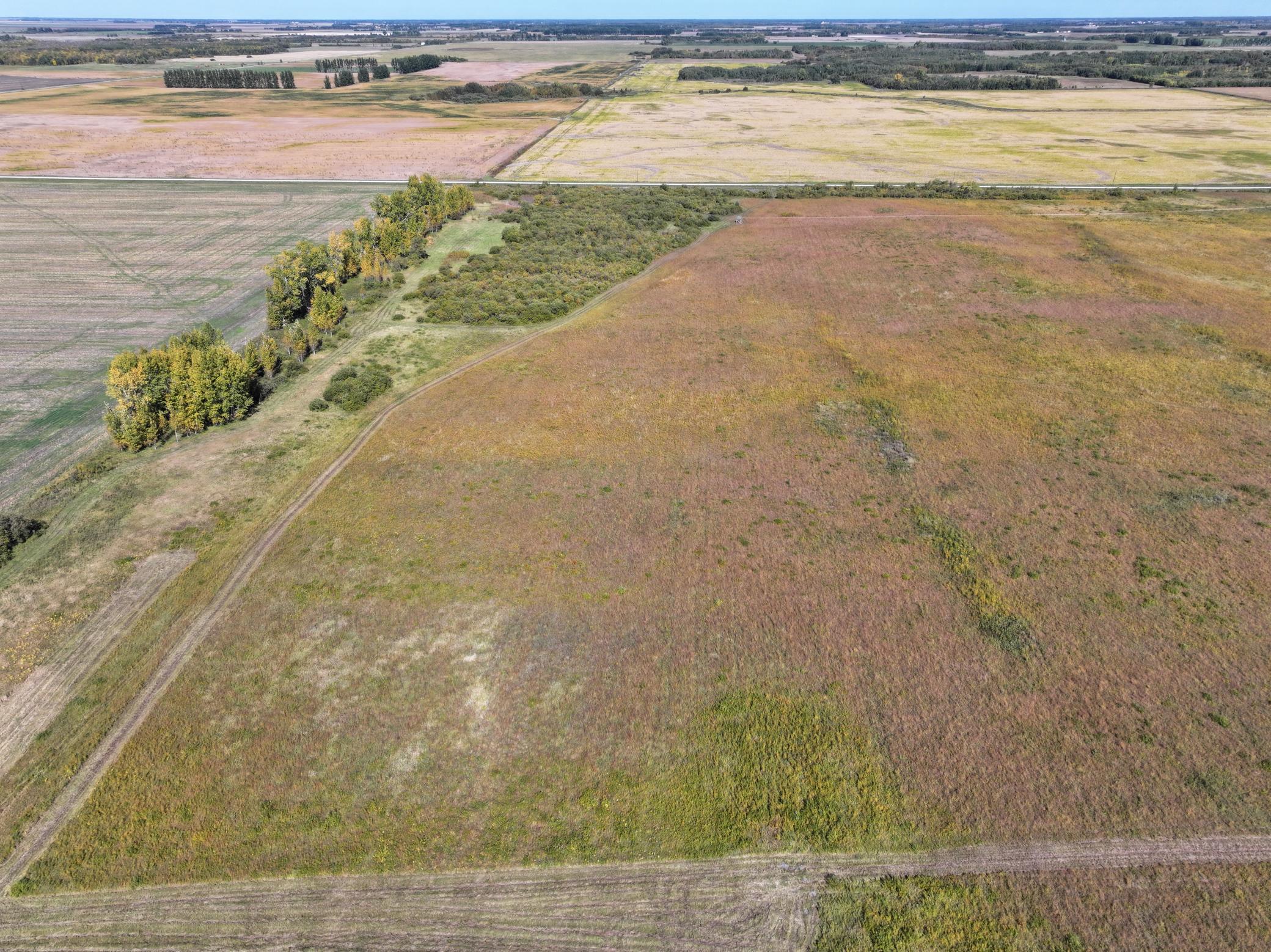land for sale at 44255 270th Avenue NW in Karlstad, MN (photo 6 of 8)