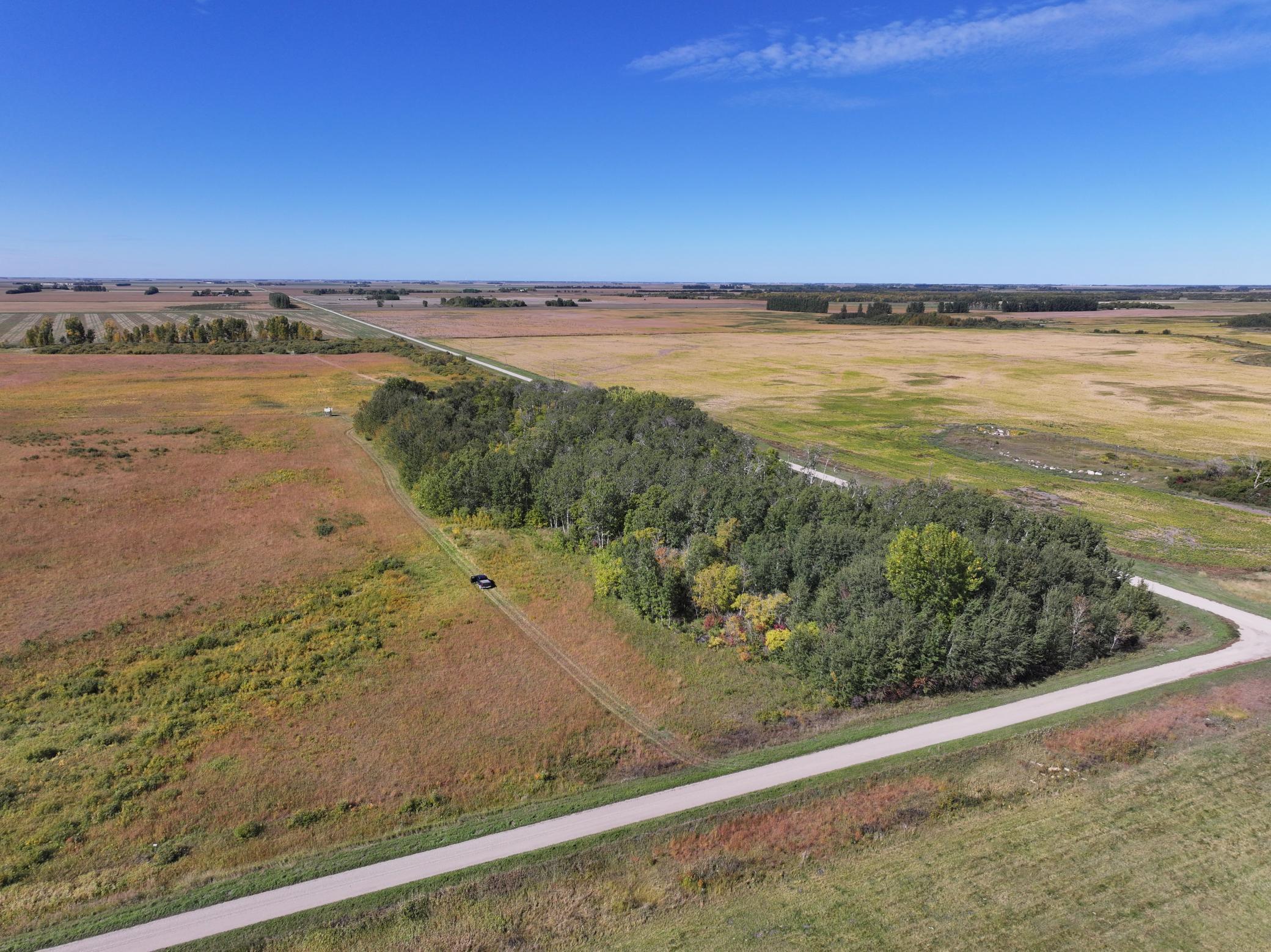 land for sale at 44255 270th Avenue NW in Karlstad, MN (photo 8 of 8)