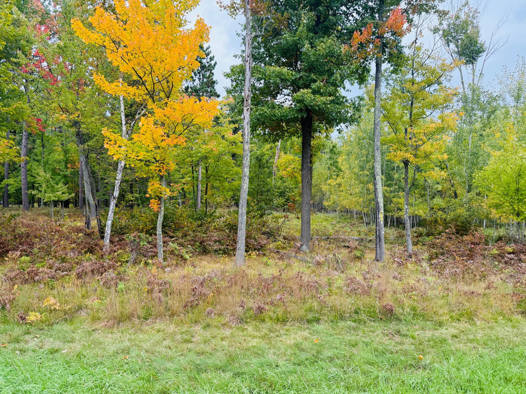 land for sale at L1 B4 Drahos Road in Brainerd, MN (photo 13 of 21)