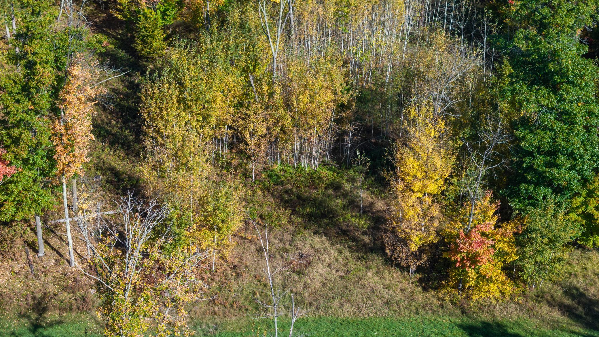 land for sale at L1 B4 Drahos Road in Brainerd, MN (photo 14 of 21)