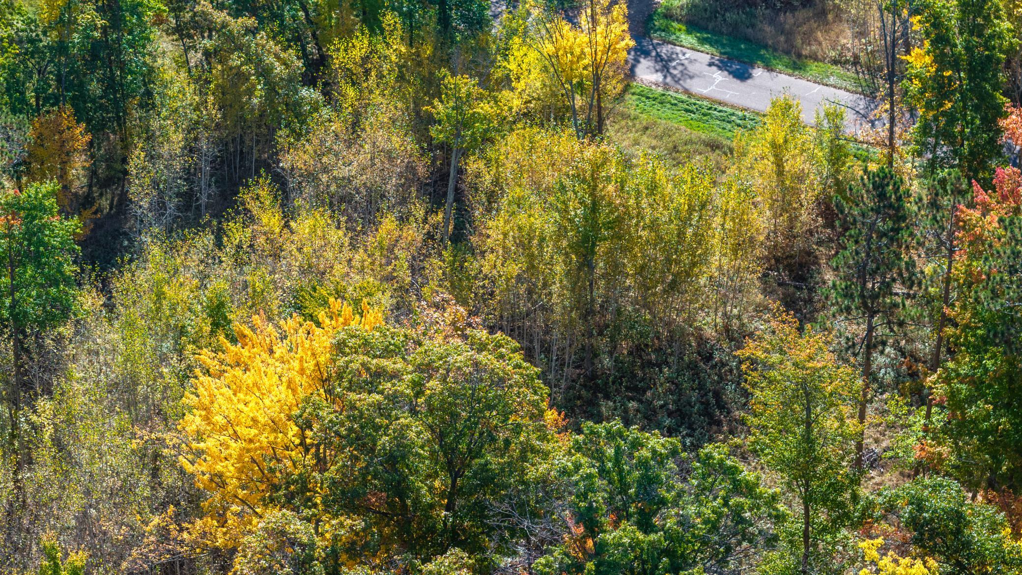 land for sale at L1 B4 Drahos Road in Brainerd, MN (photo 15 of 21)