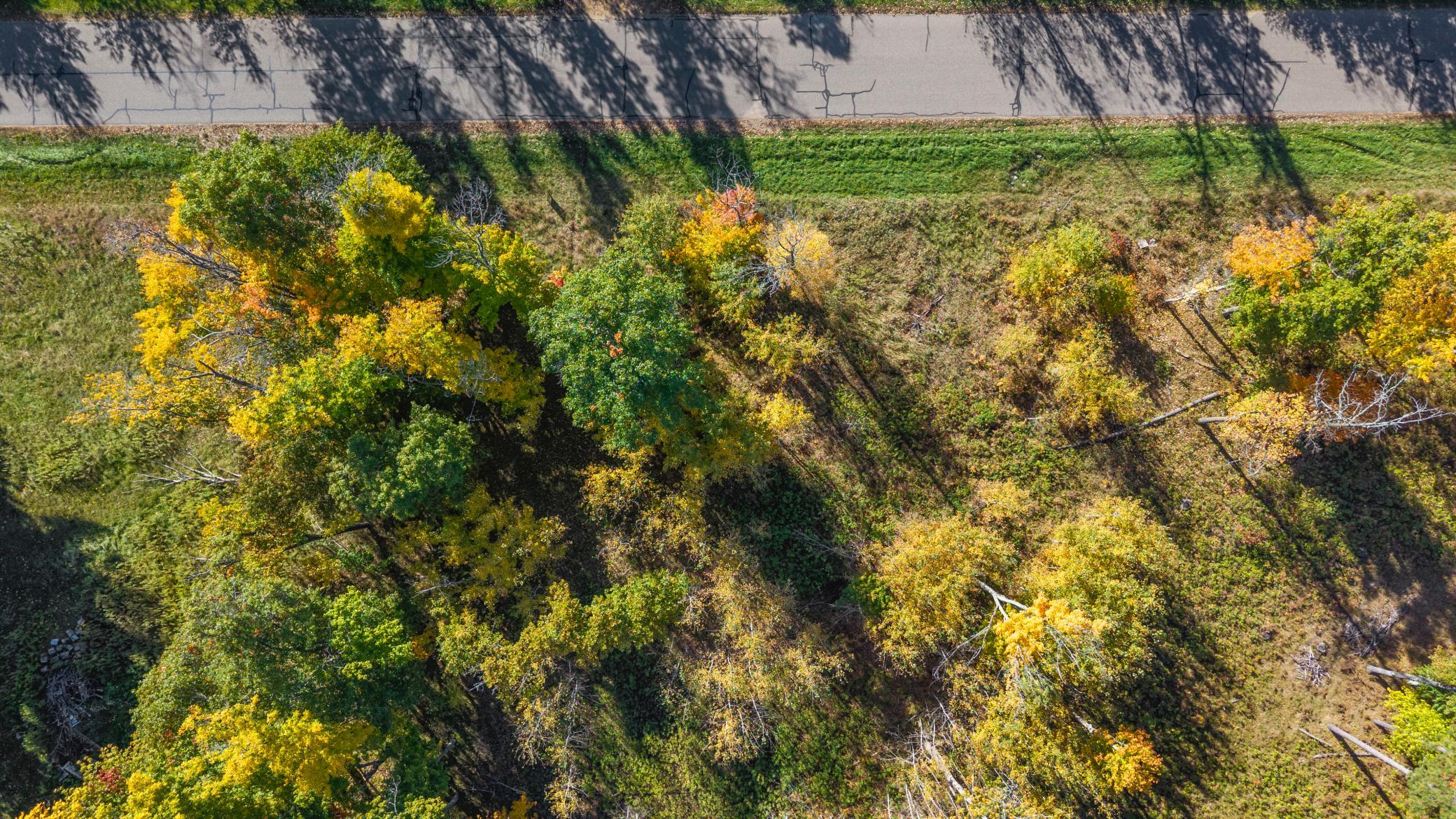 land for sale at L1 B4 Drahos Road in Brainerd, MN (photo 16 of 21)