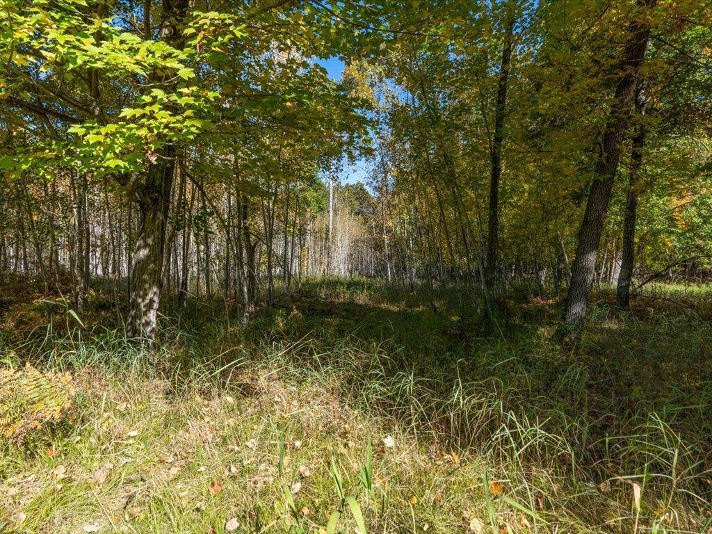 land for sale at L1 B4 Drahos Road in Brainerd, MN (photo 8 of 21)