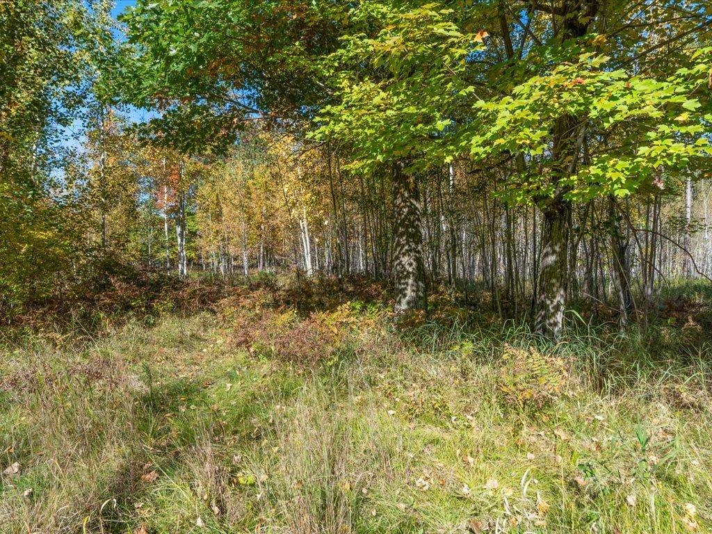 land for sale at L1 B4 Drahos Road in Brainerd, MN (photo 9 of 21)