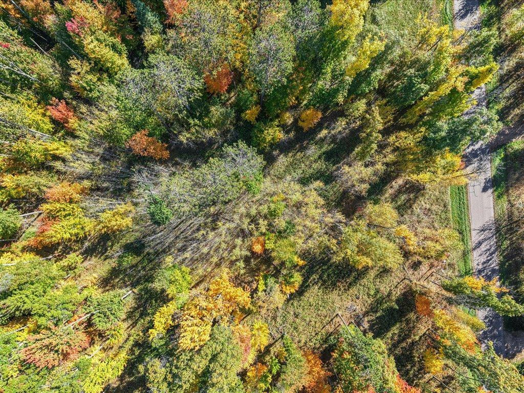 land for sale at L1 B4 Drahos Road in Brainerd, MN (photo 10 of 21)
