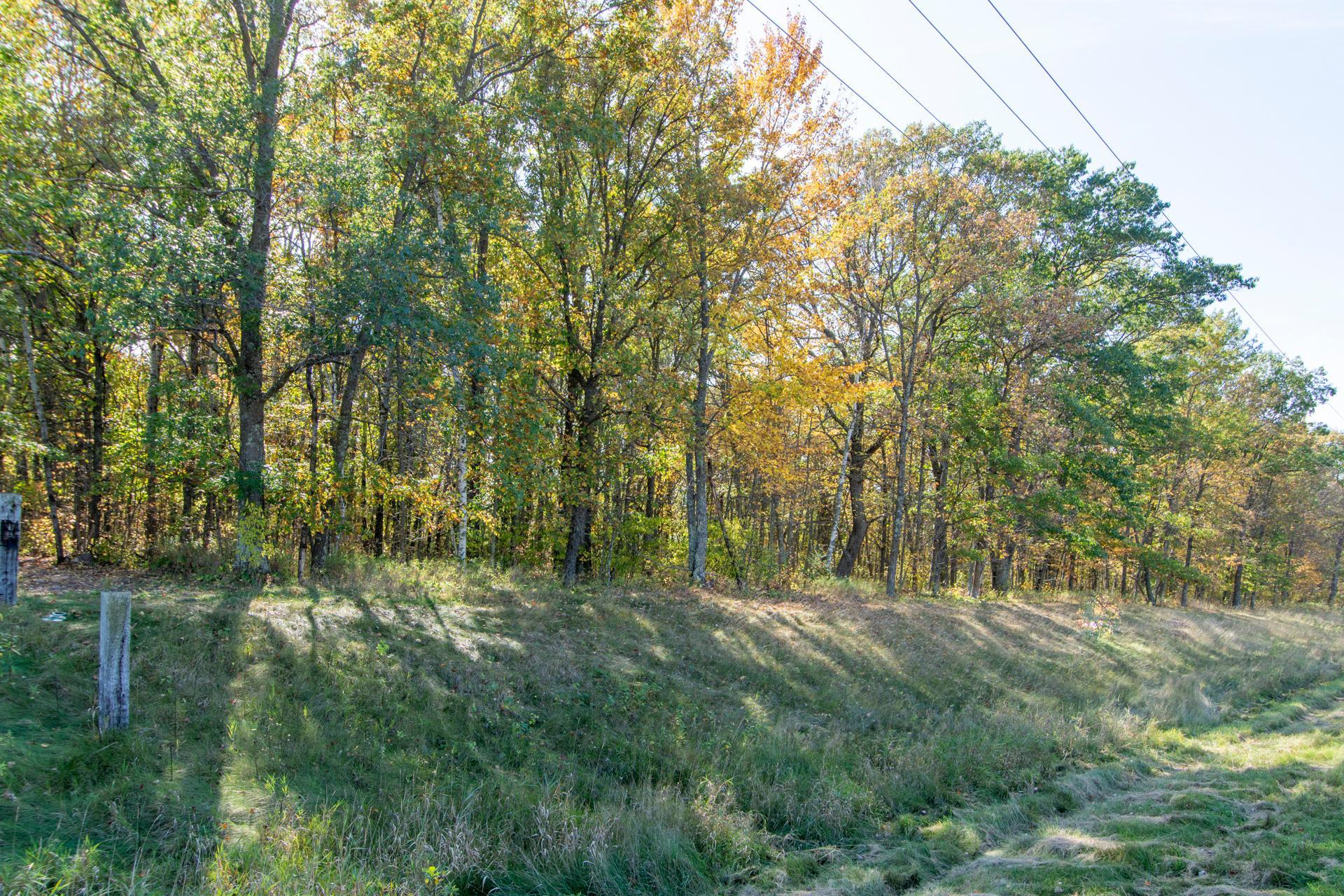 land for sale at TBD County Road 2 in Brainerd, MN (photo 15 of 20)