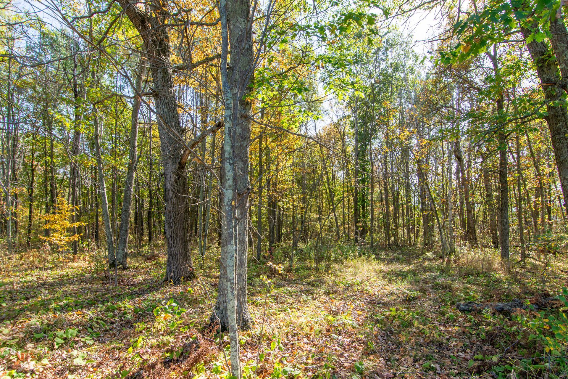 land for sale at TBD County Road 2 in Brainerd, MN (photo 16 of 20)