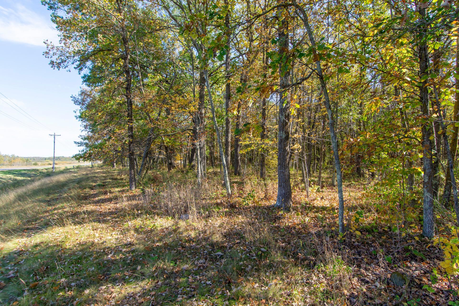 land for sale at TBD County Road 2 in Brainerd, MN (photo 17 of 20)