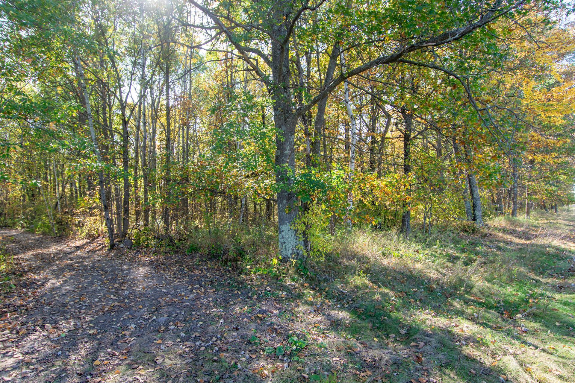 land for sale at TBD County Road 2 in Brainerd, MN (photo 20 of 20)
