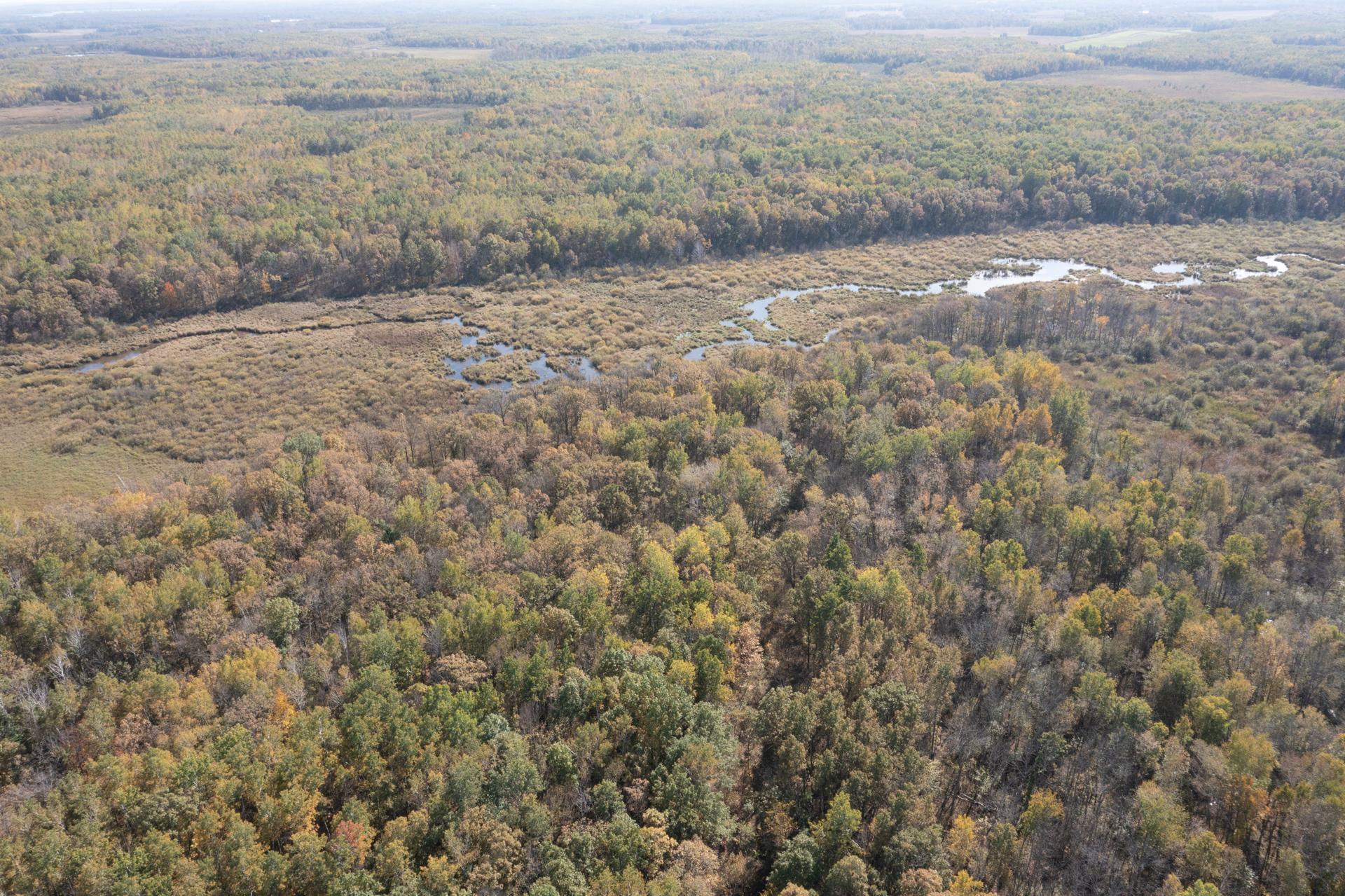 land for sale at TBD County Road 2 in Brainerd, MN (photo 4 of 20)