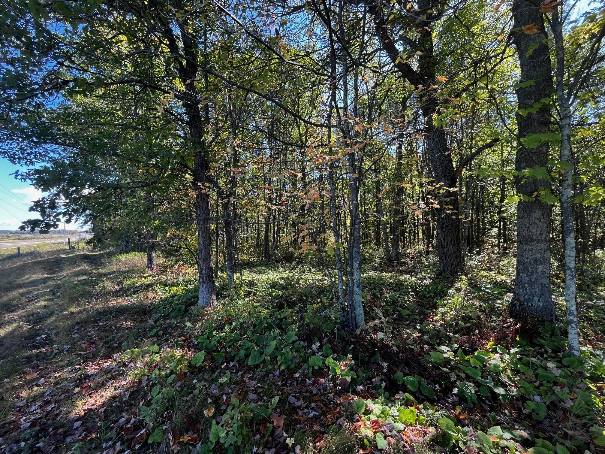 land for sale at TBD County Road 2 in Brainerd, MN (photo 8 of 20)