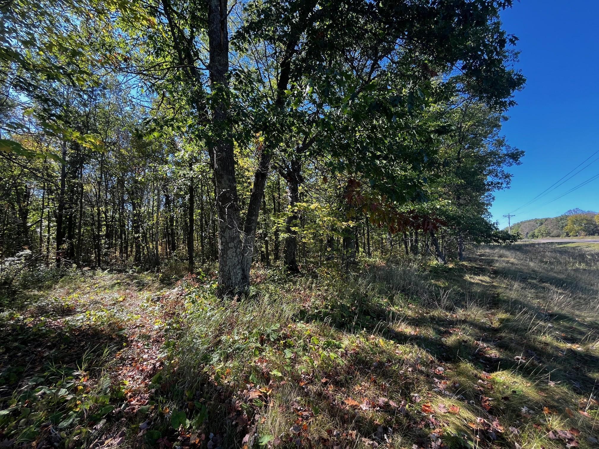 land for sale at TBD County Road 2 in Brainerd, MN (photo 9 of 20)