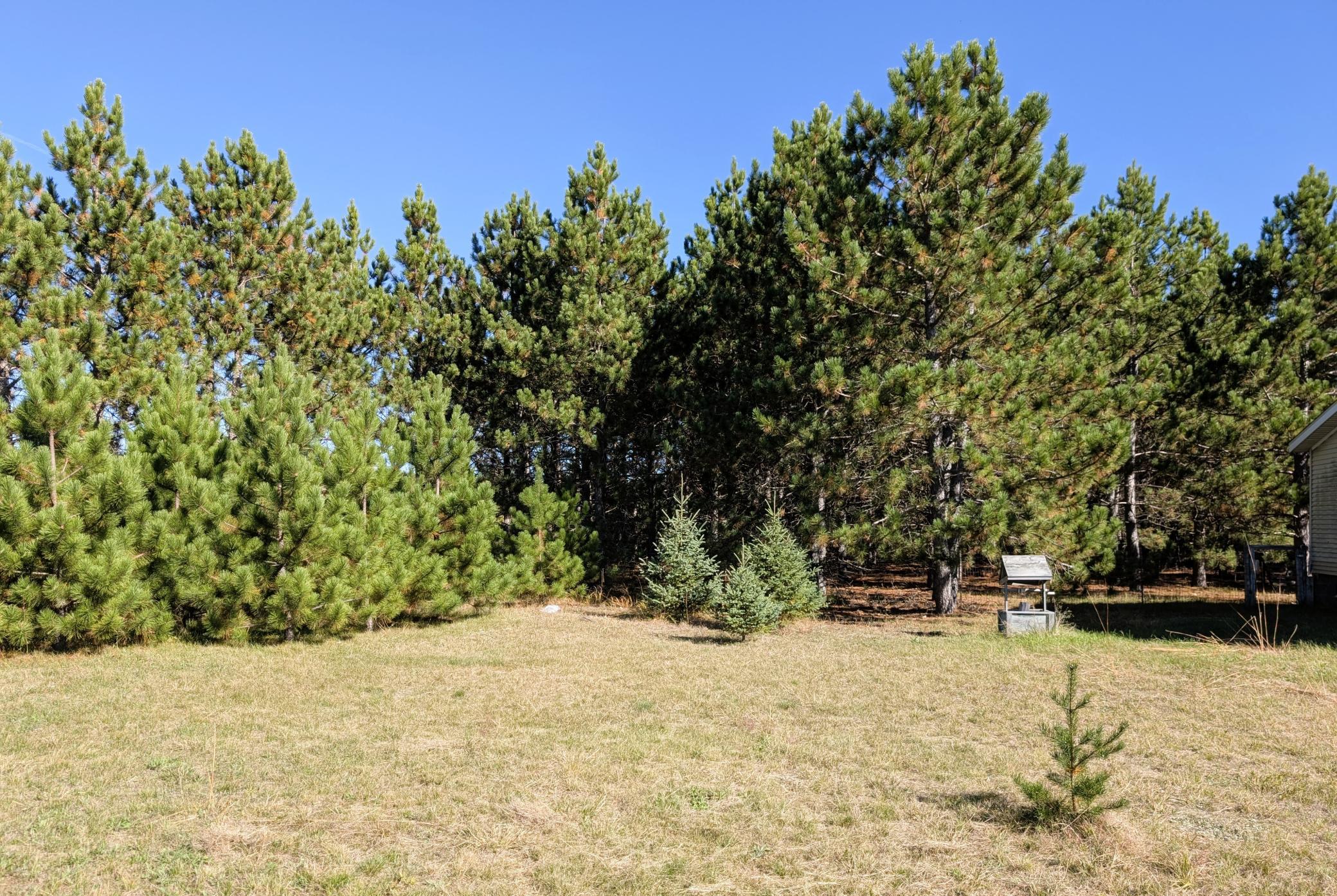 1999 single family home for sale at 7126 Tribute Lane NW in Bemidji, MN — 3 bed, 2 bath (photo 90 of 92)