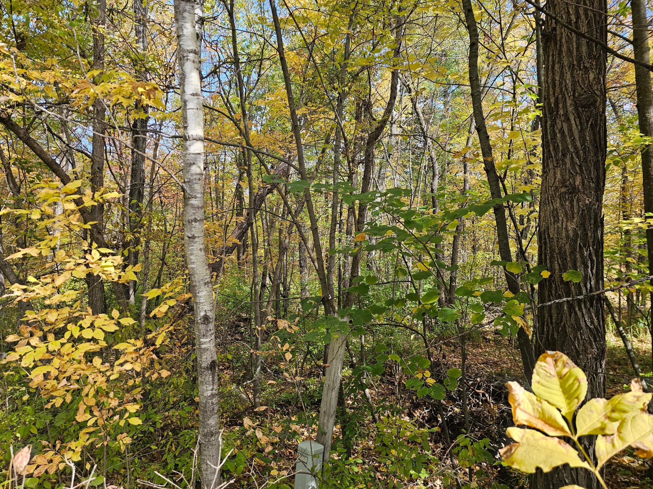 land for sale at TBD Lot 2 Bunny Lane in Crosby, MN