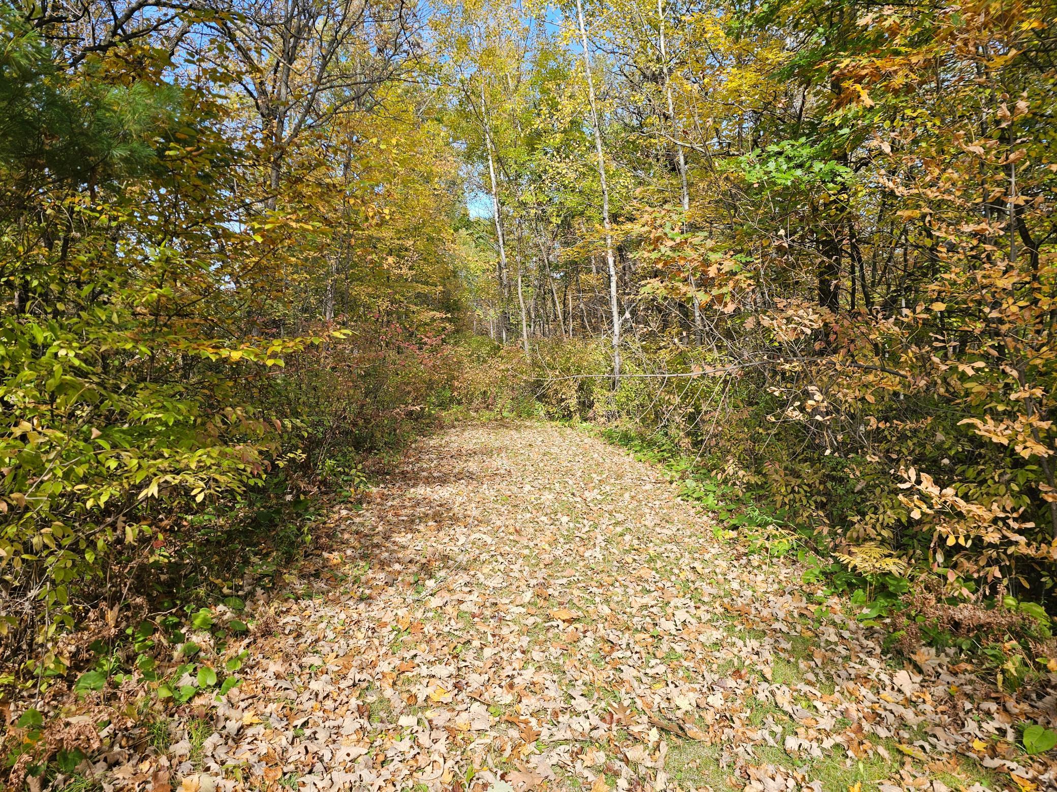 land for sale at TBD Lot 2 Bunny Lane in Crosby, MN (photo 5 of 6)