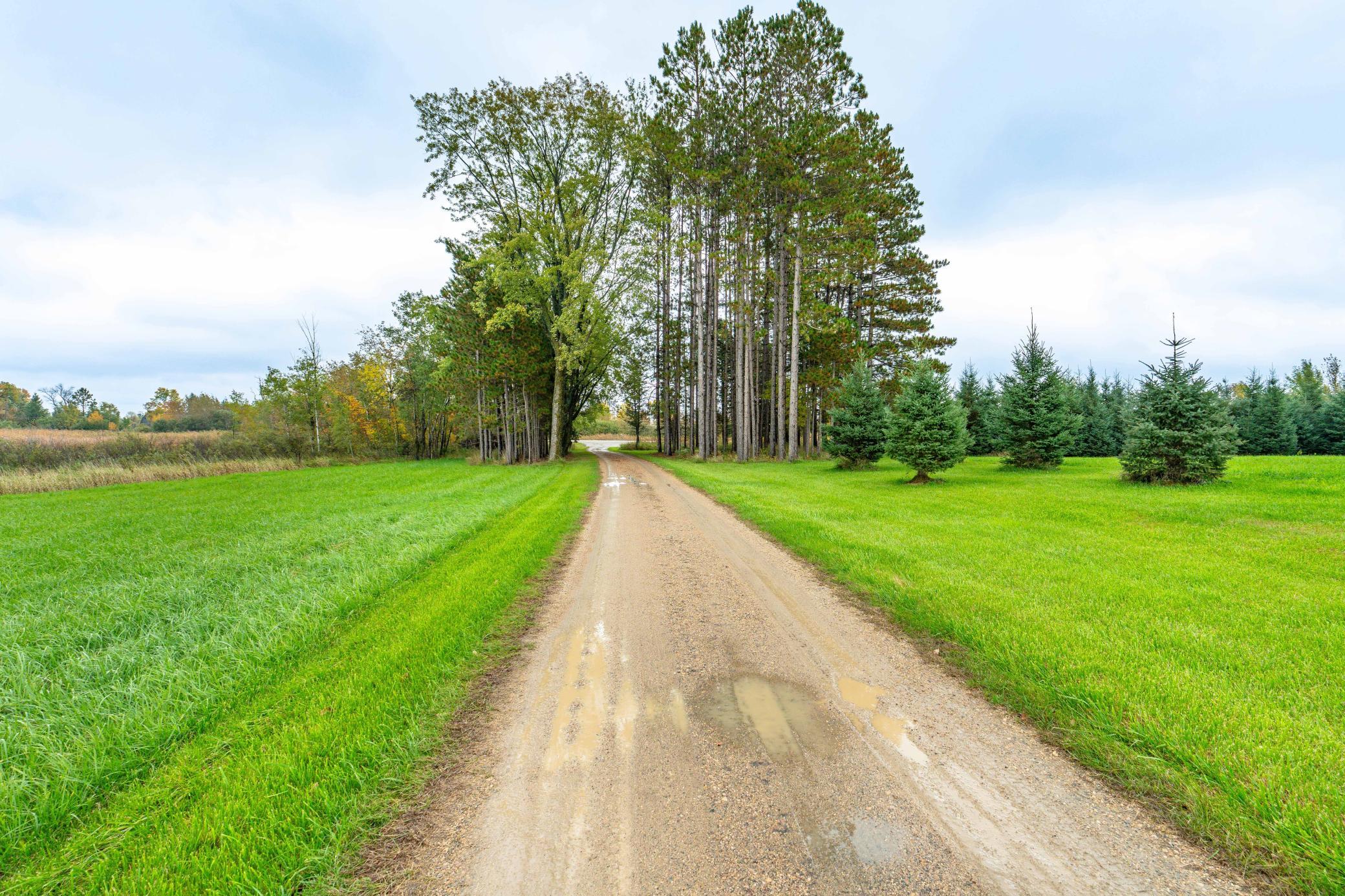 2024 single family home for sale at 23727 County Highway 65 in Henning, MN — 1 bed, 1 bath (photo 3 of 87)