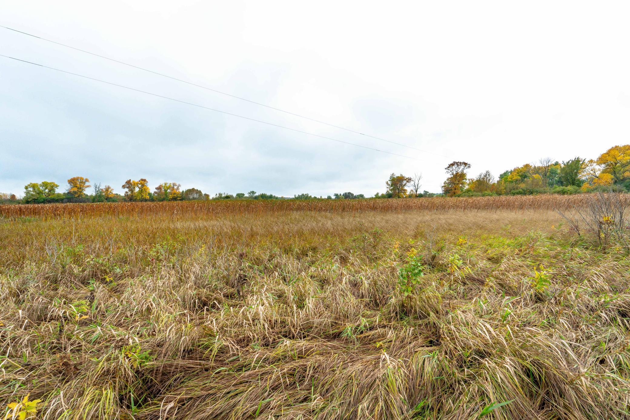 2024 single family home for sale at 23727 County Highway 65 in Henning, MN — 1 bed, 1 bath (photo 35 of 87)