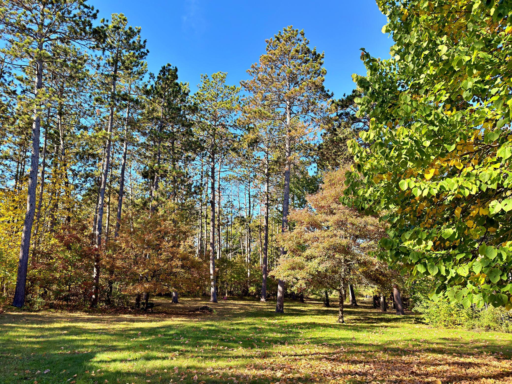 1980 single family home for sale at 19761 Ermine Trail in Park Rapids, MN — 4 bed, 2 bath (photo 6 of 43)
