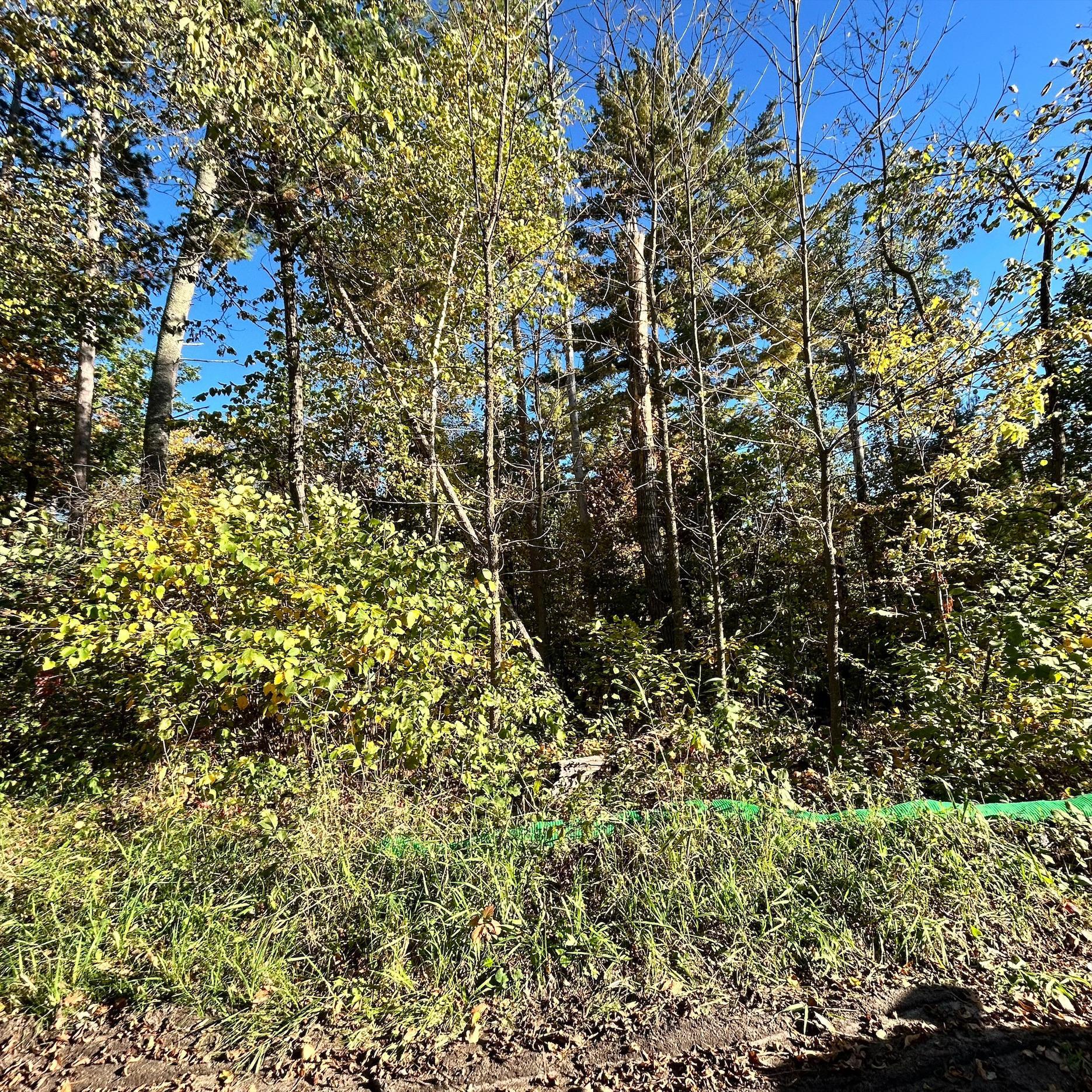 land for sale at TBD Edna Lake Road in Nisswa, MN