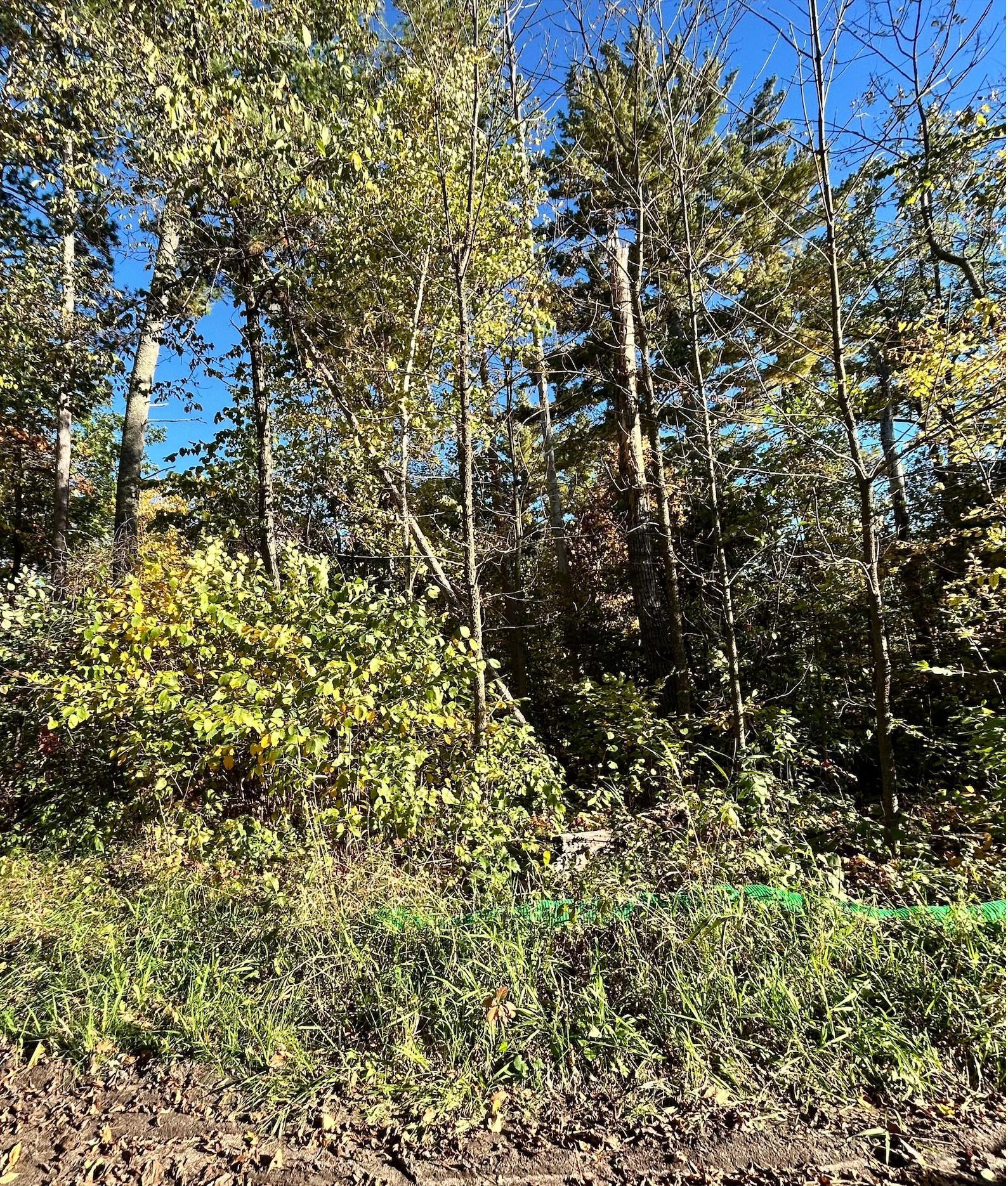 land for sale at TBD Edna Lake Road in Nisswa, MN (photo 2 of 2)