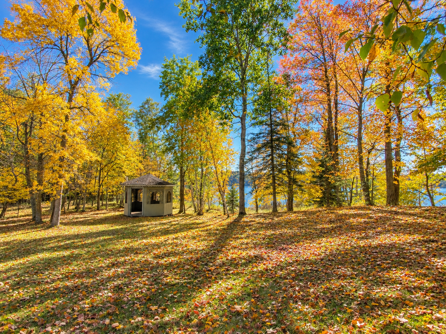 1993 single family home for sale at 21081 Ginger Road in Park Rapids, MN — 1 bed, 1 bath (photo 3 of 26)