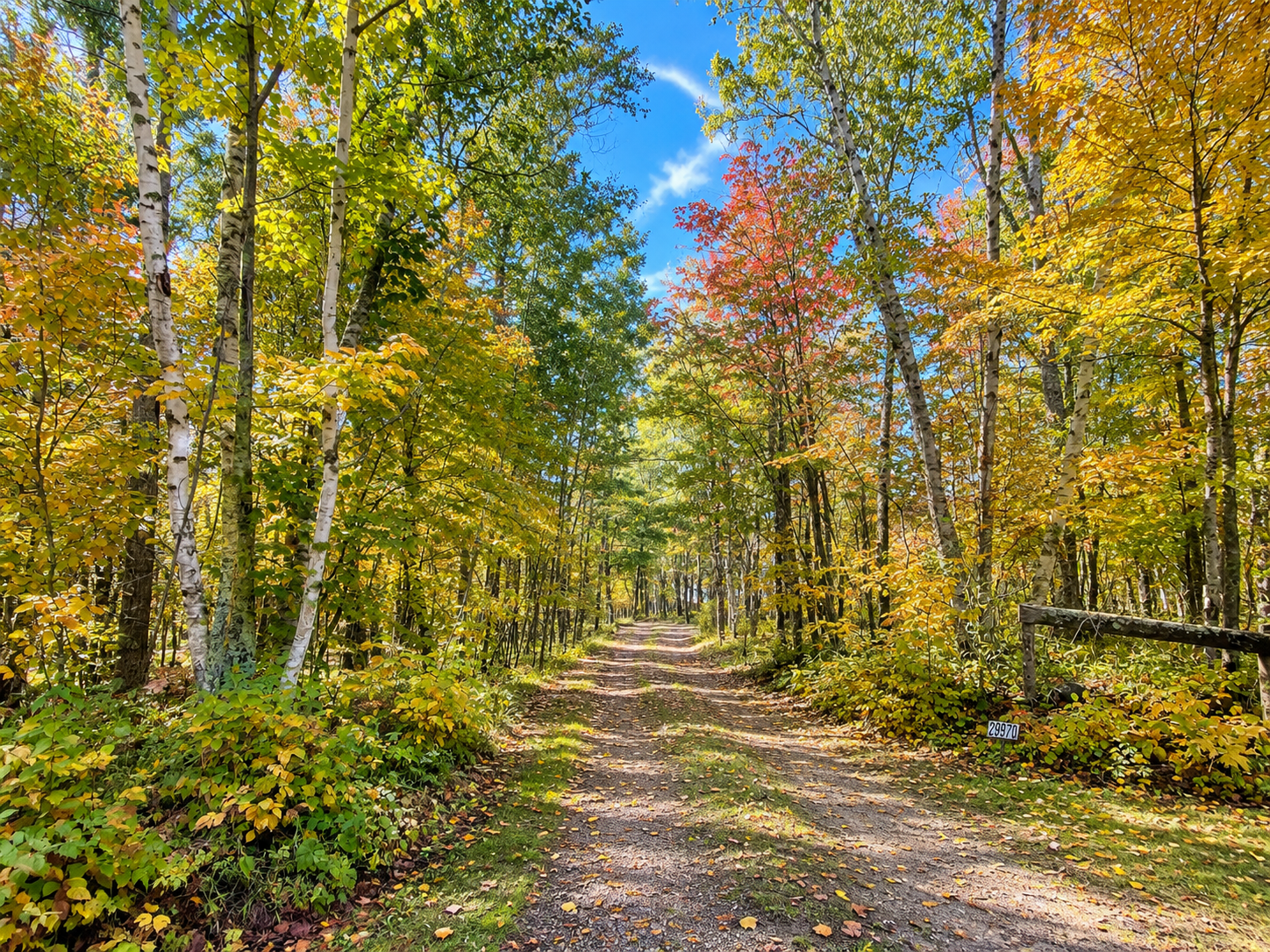 1993 single family home for sale at 21081 Ginger Road in Park Rapids, MN — 1 bed, 1 bath (photo 25 of 26)